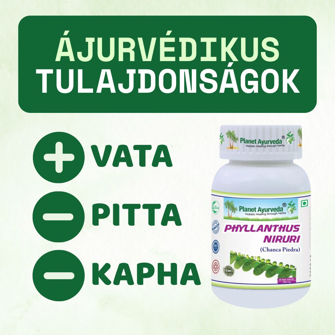Phyllanthus Niruri – Chanca Piedra