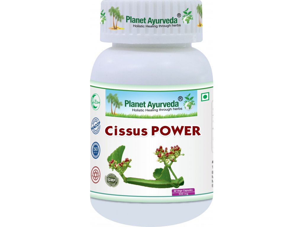 Cissus Power