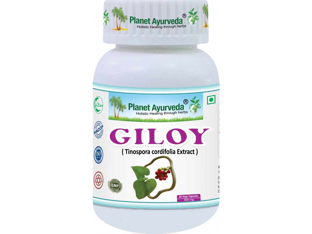Giloy - Guduchi