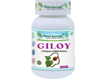 Giloy - Guduchi