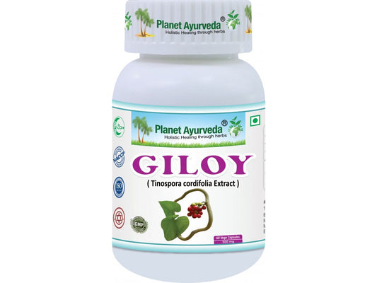 Giloy - Guduchi
