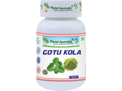 Gotu Kola