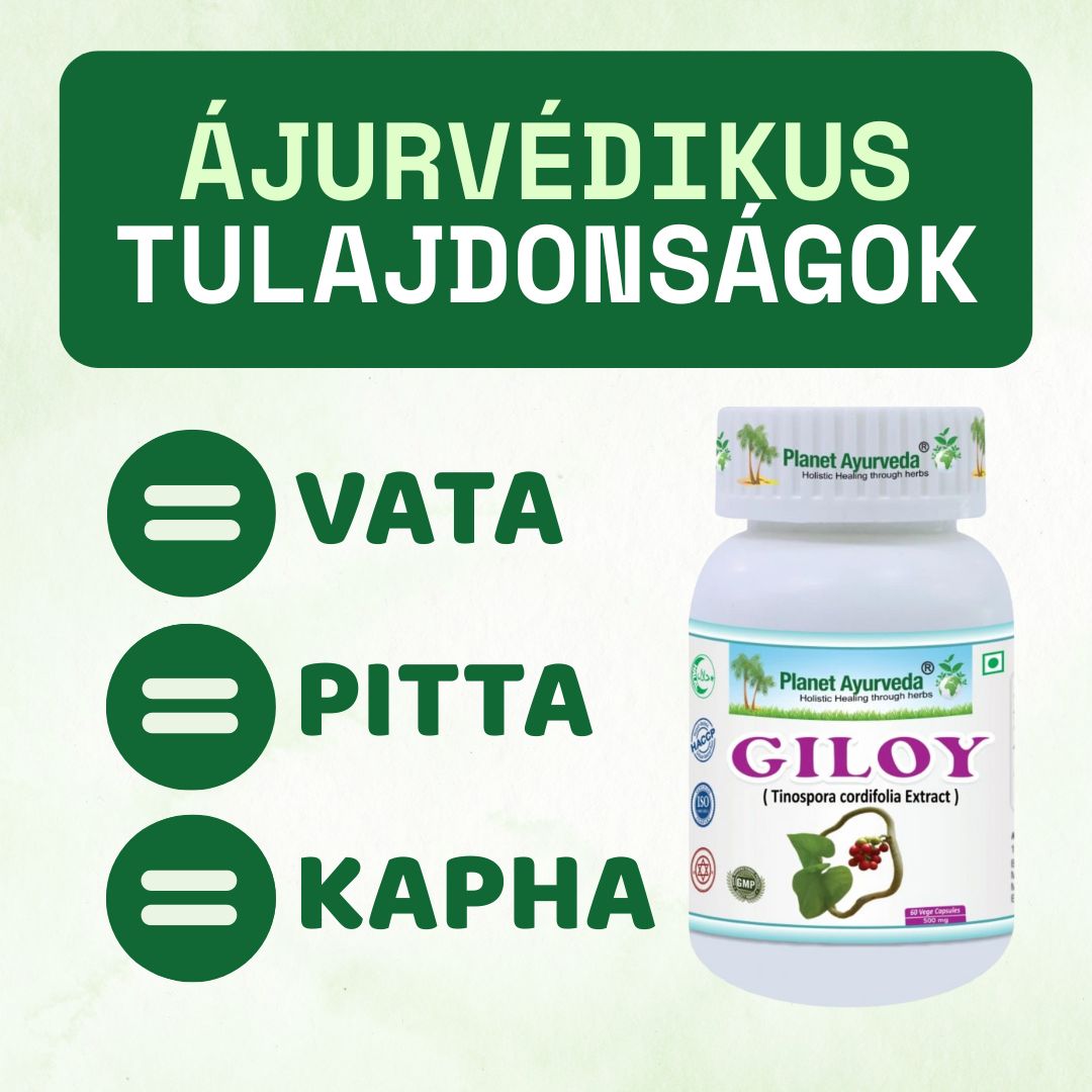 Giloy - Guduchi
